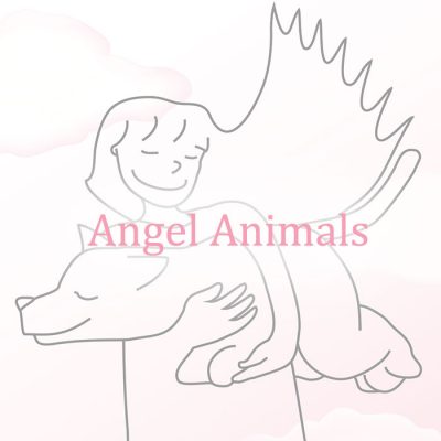 Angel Animals