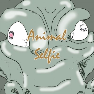 Animal Selfie