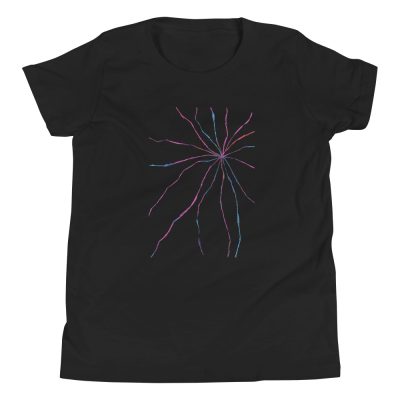 Aurora Borealis Black Youth Short Sleeve T-Shirt